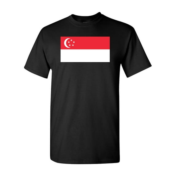 Singapore Country Flag Adult DT T-Shirt Tee