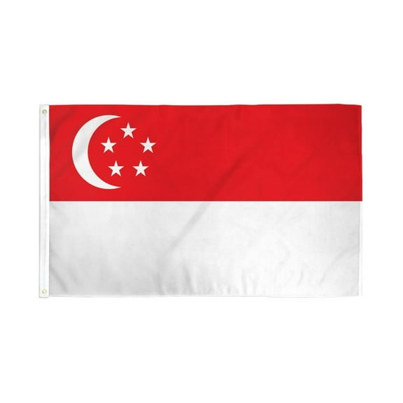 Singapore Flag 2x3ft Poly