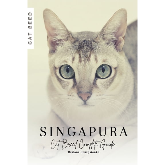 Singapura: Cat Breed Complete Guide (Paperback)