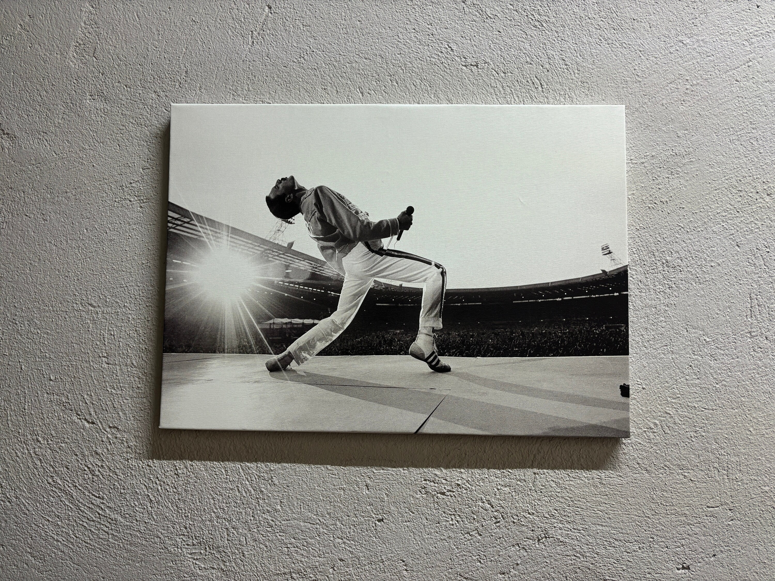 Freddie Mercury Queen Canvas Wall Art Poster - 40x60cm Unframed Print For Office, Bedroom & Music Room Decor