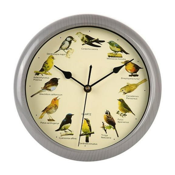 Singing Bird Wall Clock,10" Round Decorative Singing Bird Wall Clock for Home Office Kitchen Dining Bedroom Classroom and Living Spaces,C