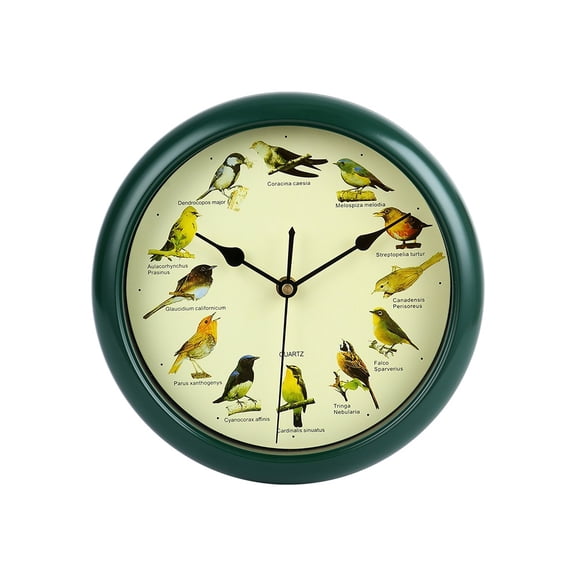 Singing Bird Wall Clock 12 Inch of The Bird Names and Songs