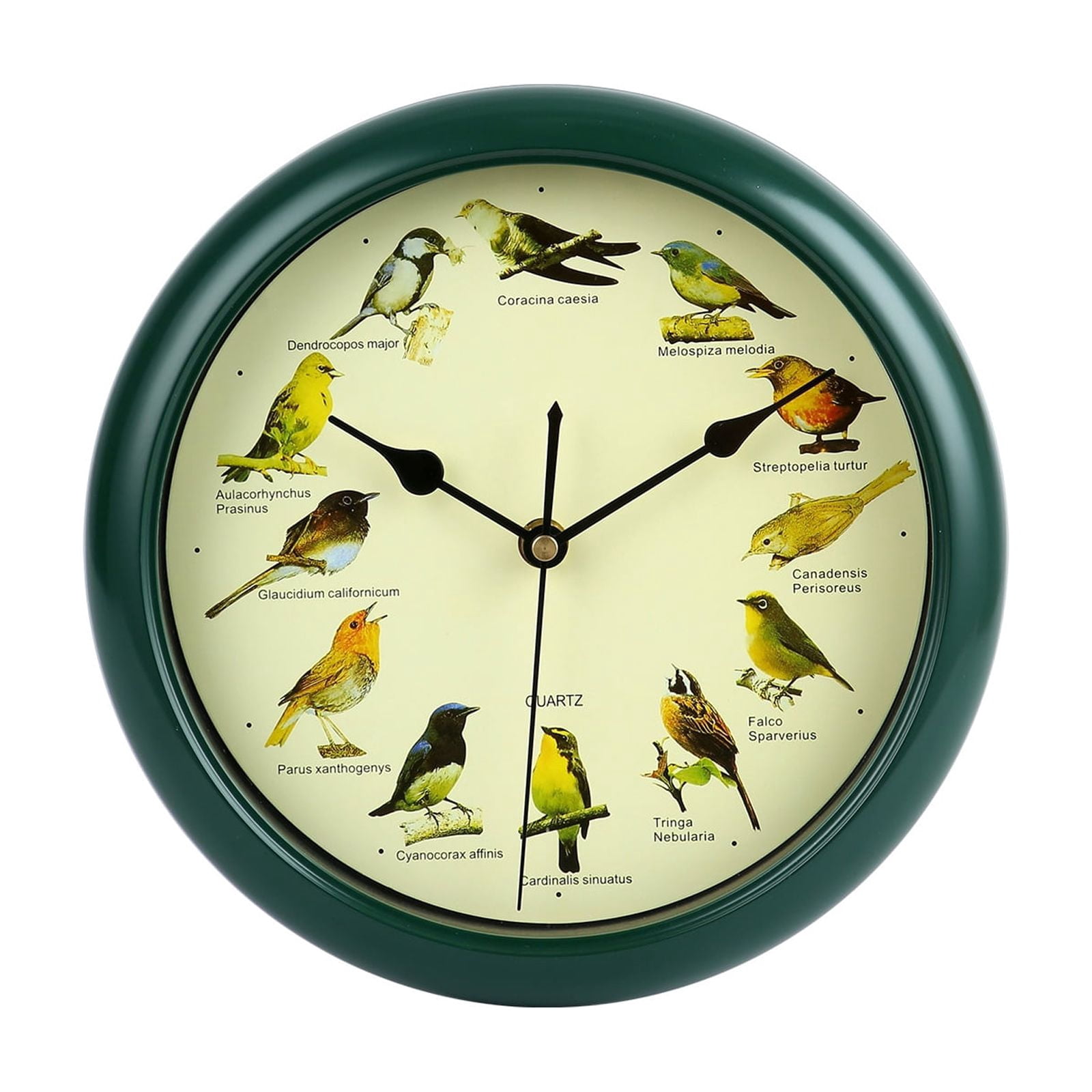 Singing Bird Wall Clock10 Inch,Modern Digital & Analog Wall Clocks ...