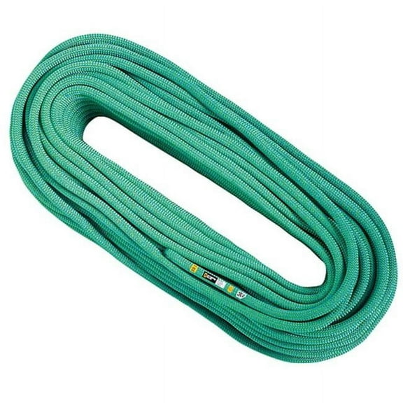 Singing Rock 449632 10.1 mm x 60 m Score Dry Dynamic Rope, Mint
