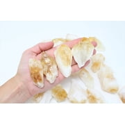 Single 2-3 inch Large Citrine Rough Points, Wholesale, Bulk Citrine, Citrine Rough Stones, Solar Plexus Chakra
