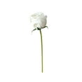 thumbnail image 1 of Single Artificial Rose 11.4” Real Touch Flowers High Simulation Wedding Anniversary Romantic Gift for Elegant Home Decor, 1 of 6