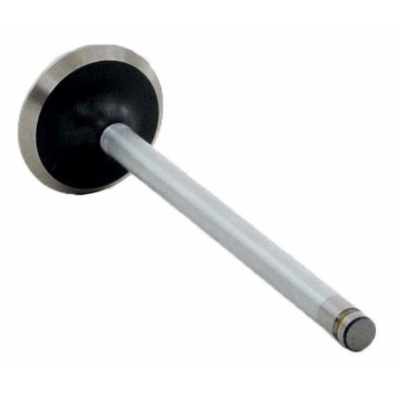 Single Exhaust Valve | Compatible with AMC/Chrysler 2.5L 150/4.0L 242