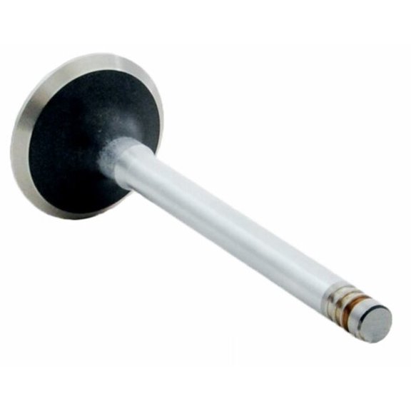 Single Exhaust Valve | Compatible with Ford 2.9L 177