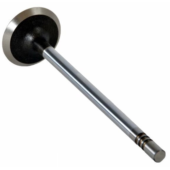 Single Exhaust Valve | Compatible with Ford 3.0L 181 Duratec