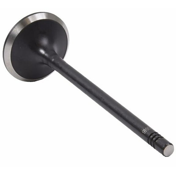 Single Exhaust Valve | Compatible with GM/Chevrolet 2.9L/3.7L/4.2L DOHC
