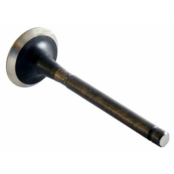 Single Exhaust Valve | Compatible with Toyota 3.0L 3VZE 12V 6Cyl