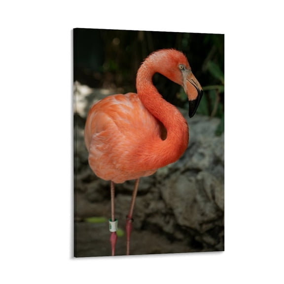 Single Flamingo Portrait, Elegant Profile, Canvas Print with Frame (2:3 Ratio), 12x8 in