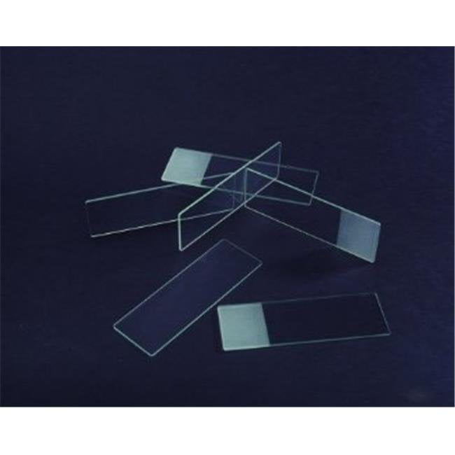 Single Frosted Slides