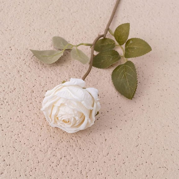 Single Frosted Tipped Rose 39cm Artificial Flower with Distressed Petal Edges, INS Style Realistic Faux Rose for Vase Arrangement, Home Decor Table Centerpiece in 10 Colors