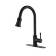 Single Handle High Arc Pull Out Kitchen Faucet,Single Level Stainless