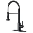 Single Handle Kitchen Faucet with Pull Down Function Sprayer Kitchen