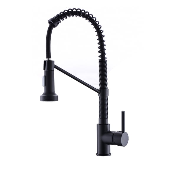 Single-Handle Pull-Down Sprayer Kitchen Faucet Black