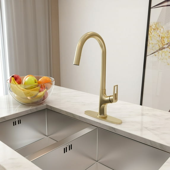 Single-Handle Pull-Out Sprayer Kitchen Faucet Deckplate Included in Brushed Gold