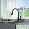 thumbnail image 1 of Single-Handle Pull-Out Sprayer Kitchen Faucet Deckplate Included in Matte Black, 1 of 7