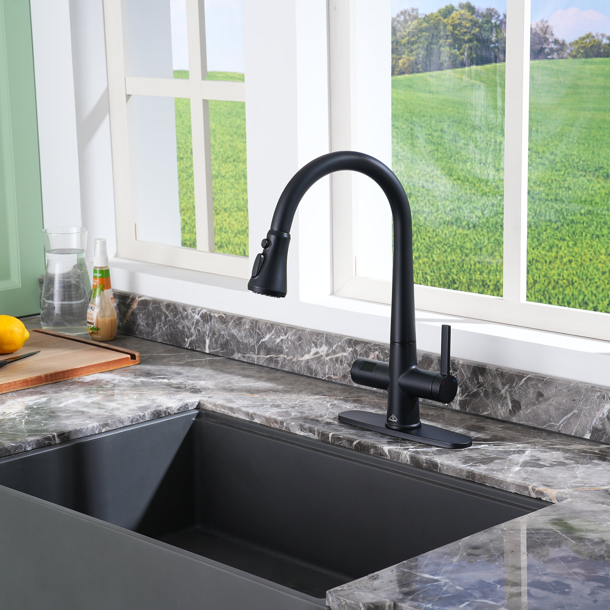 Matte Black Single Handle Pull-Out Sprayer Kitchen Faucet with Digital Display