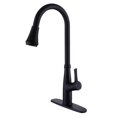 SingleHandle Single Hole PullDown Sprayer Kitchen Faucet with House