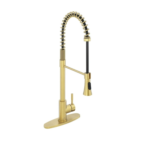 CASAINC Single Handle Kitchen Faucet with Pull Down Sprayer, Deck Mounted, Brushed Gold