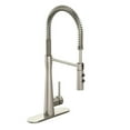 SingleHandle Spring Sprayer Kitchen Faucet with Dual Function