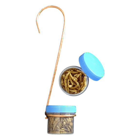 Single Hanging Bug DOTS Mealworm Bluebird Bird Feeder w/ Copper Hanger & 2 DOTS