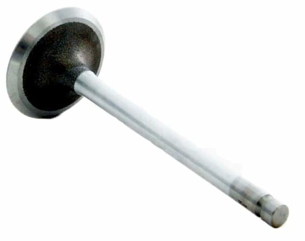 Single Intake Valve | Compatible with Toyota 1.6L/1.8L 4AFE 7AFE ...