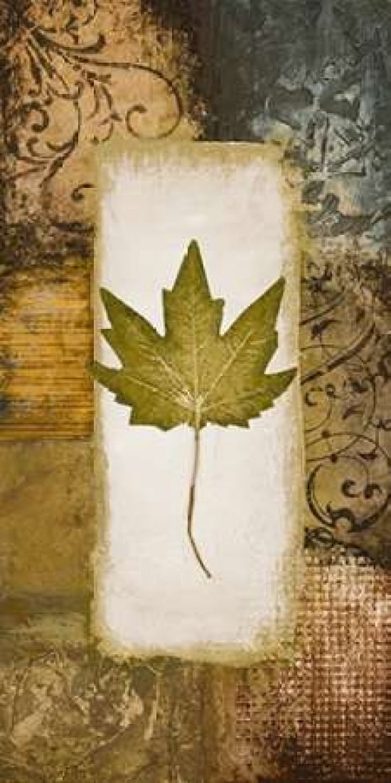 Single Leaf II Canvas Art - Michael Marcon (24 x 48)