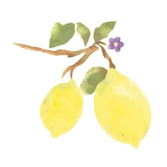 Single Lemon Wall Stencil SKU #3275 by Designer Stencils