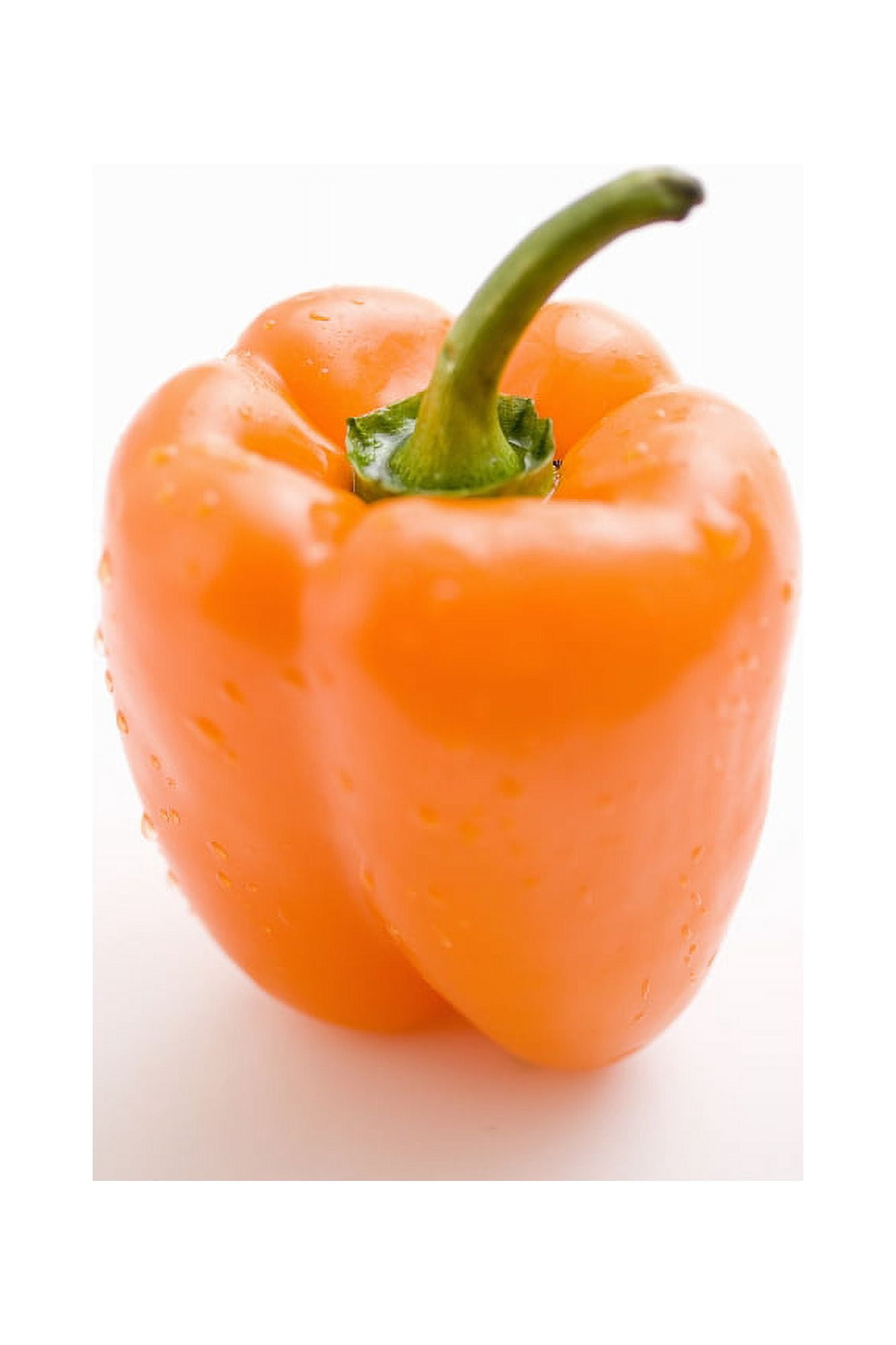 Single Orange Pepper Canvas Art - Greg Huszar Photography Design Pics (12 x 18)
