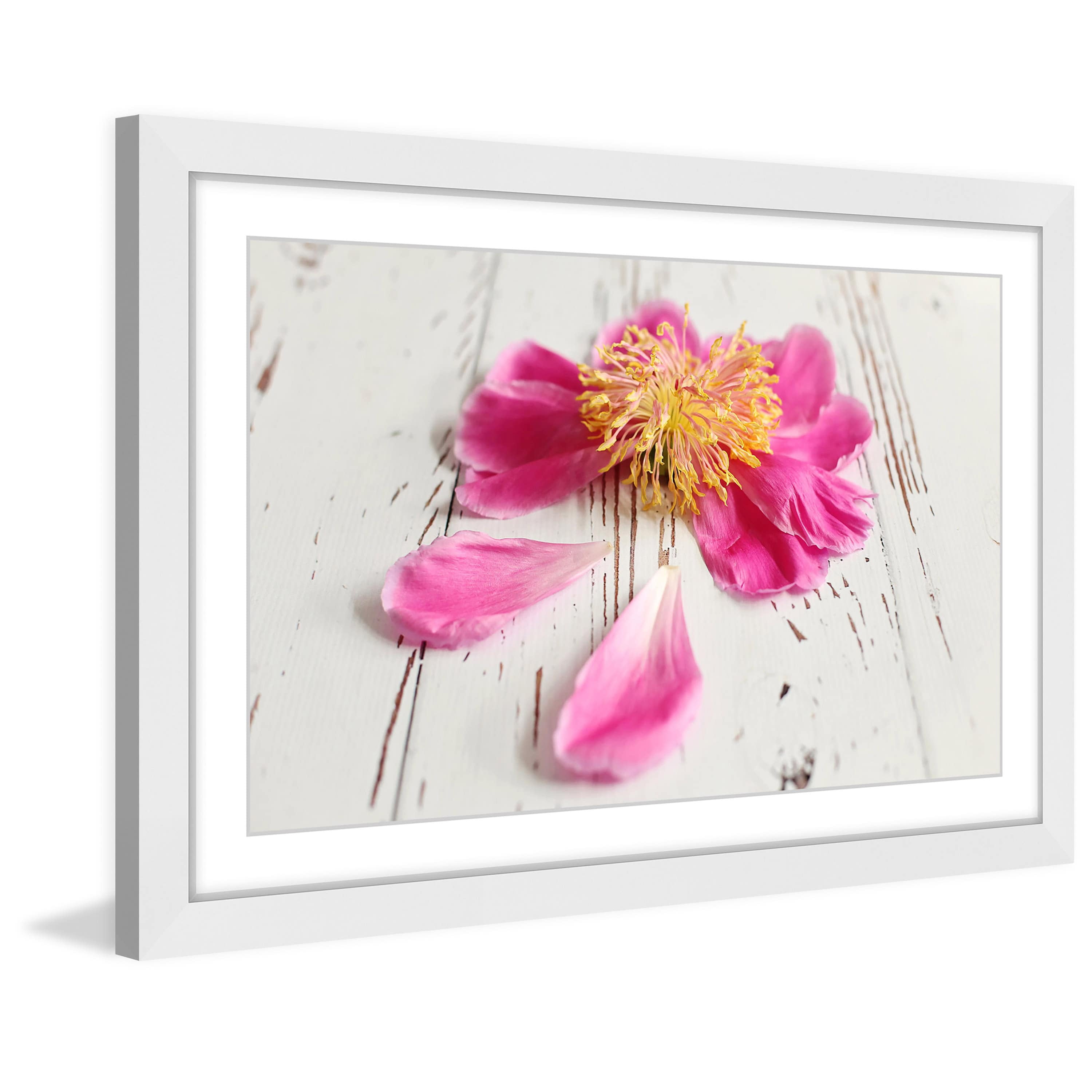 "Single Pink Peony" Framed Painting Print