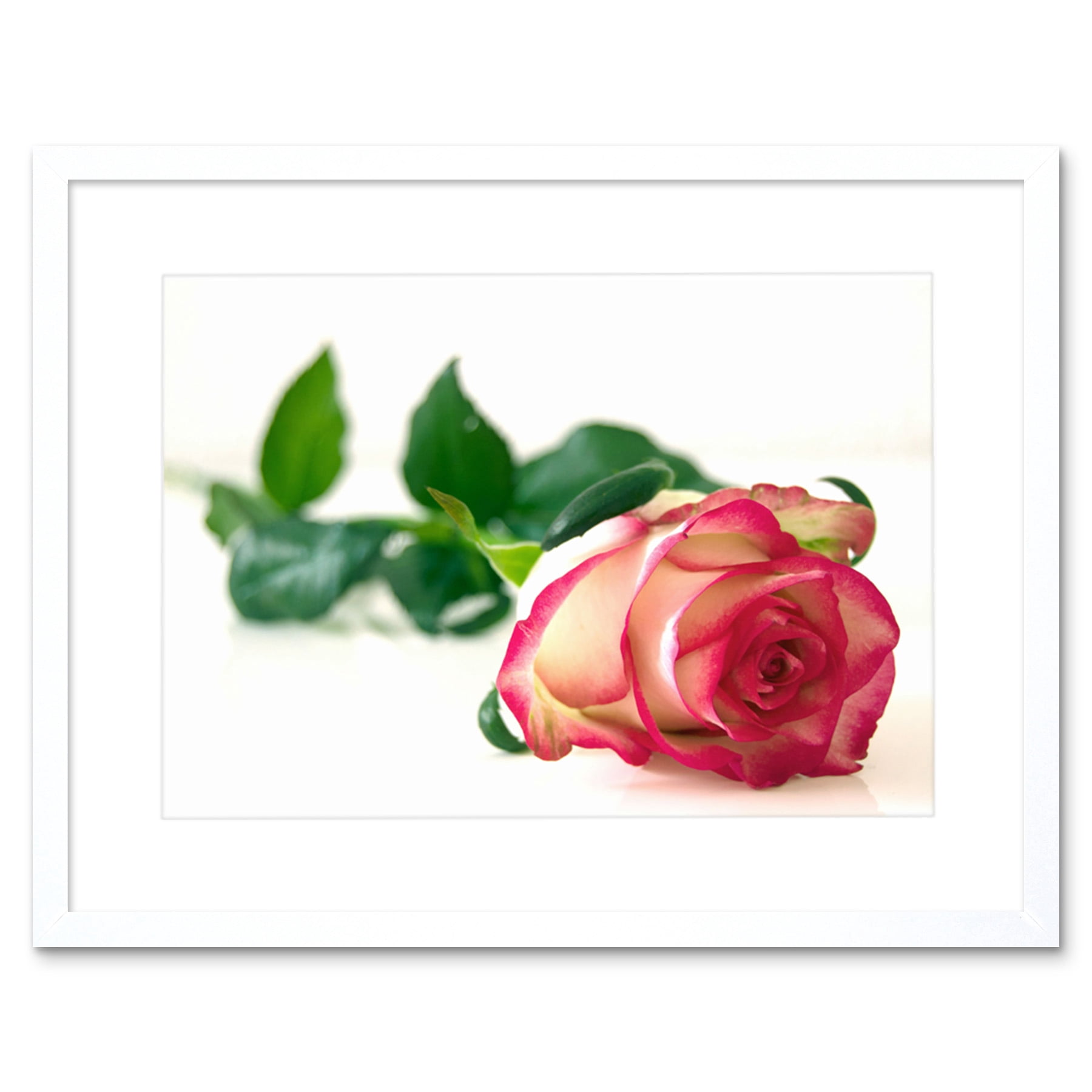 Single Pink Rose Romantic Flower Framed Wall Art Print - Walmart.com