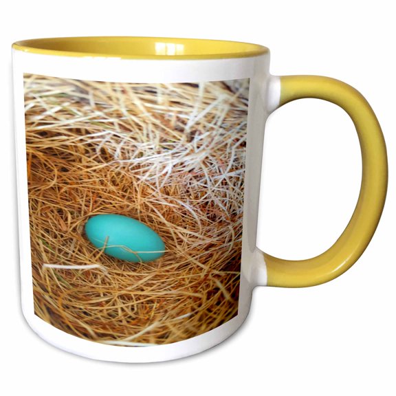 3drose, Single Robins Egg Bird Nest, 11oz Two-tone Yellow Mug