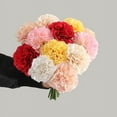 thumbnail image 1 of Single Stem Artificial Carnation - Mother's Day Gift, Home Decor Silk Flower, 1 of 5