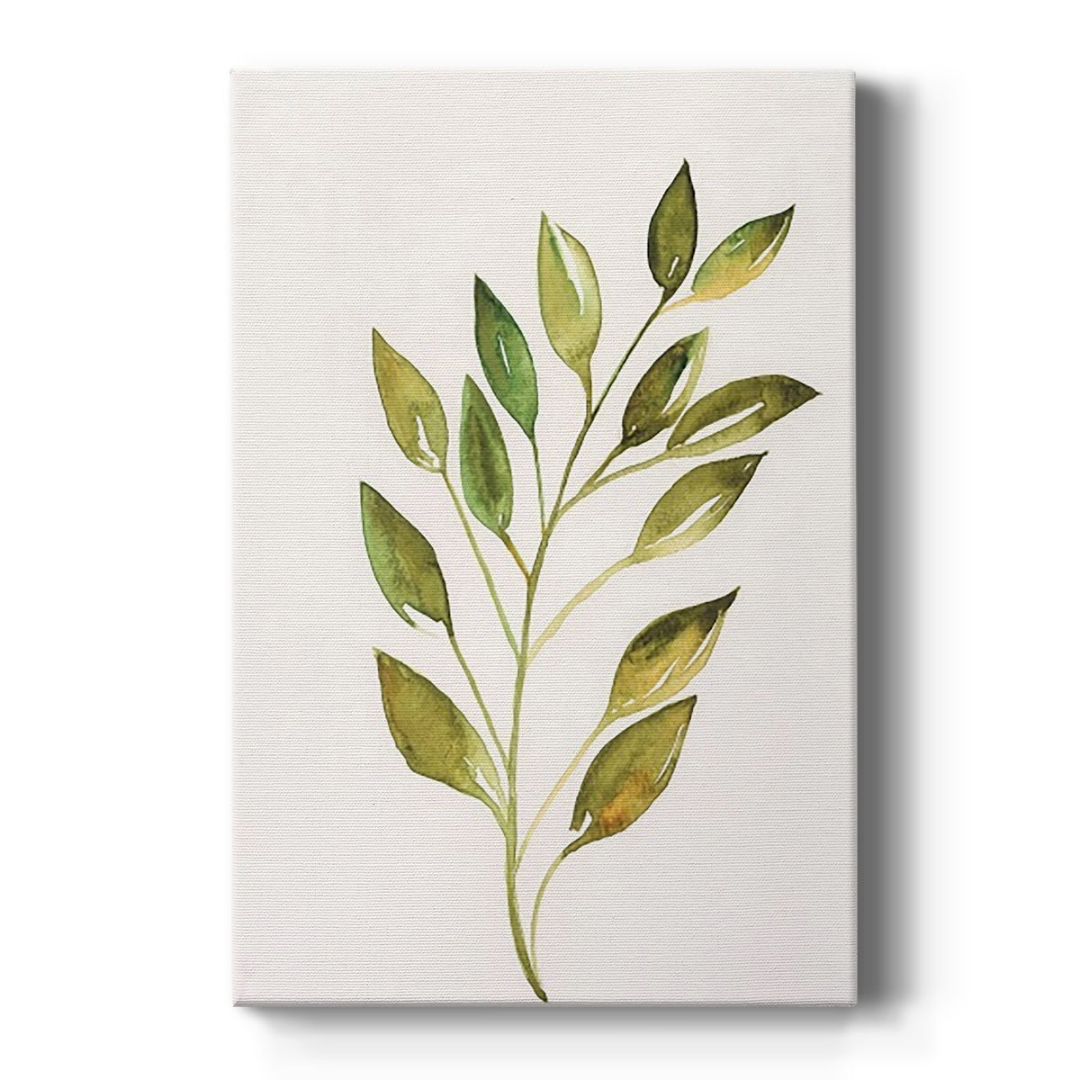 Single Twig I Premium Gallery Wrapped Canvas - Ready to Hang