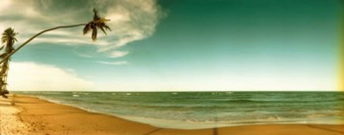Single leaning palm tree on the beach Morro De Sao Paulo Tinhare Cairu Bahia Brazil Canvas Art - Panoramic Images (30 x 12)