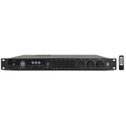 Singtronic DSP-2000Pro Professional Digital Key Control Echo Karaoke Processor, Mini Karaoke Machine