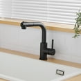 Sink Faucet, Black Kitchen Faucets with Pull out Sprayer, Bathroom Sink