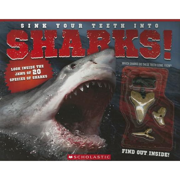 Pre-Owned Sink Your Teeth Into Sharks! (Paperback)