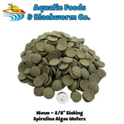 Sinking Wafers of Algae, Spirulina & Vegetables, Ideal for Plecos, Bottom Fish, Catfish, Shrimp, Snails, Crayfish, All Herbivorous and Omnivorous Tropical Fish. - Zeigler Style AFI Wafers 10-lbs