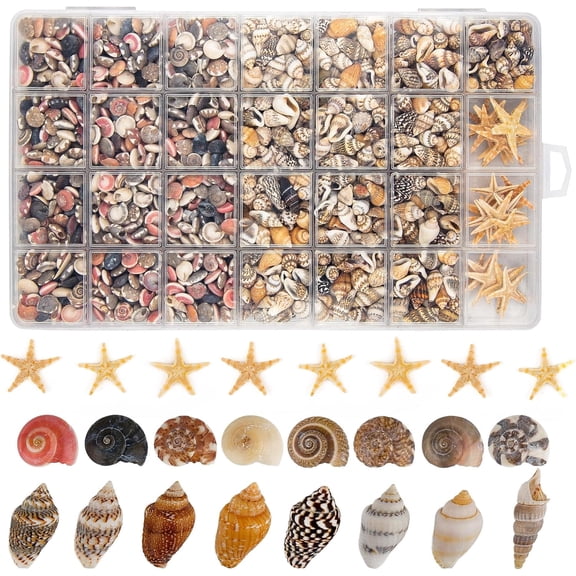 Sinkoo 1200pcs Tiny Seashells & 21 Starfish Mixed Bulk Beach Mini Shells for Home Decor, Beach Theme Party Decorations, Fish Tank Aquarium Decor, Sea Shells for Crafting Vase Filler Beach Candle