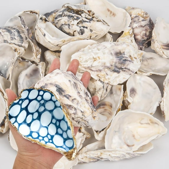 Sinkoo 15 Pcs Oyster Shells 4"-5" Large Concave Oyster Shells for Crafts Natural Oyster Shells Bulk, for Home Vase Filler, Xmas Ornaments, DIY Arts and Crafts Sea Shells