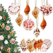 Sinkoo 20pcs Seashells Christmas Tree Ornaments, 1.8-2.8 Natural Sea Shells Christmas Ornaments,Beach Coastal Christmas Decor for Home Wedding Party