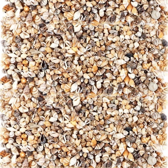 Sinkoo 2000pcs Tiny Sea Shells for Crafting,Mixed Ocean Beach Mini Seashells Bulk for Home Decorations,Beach Theme Party, Small Shells for Craft, Wedding Decor, Fish Tank Vase Filler(5-12 mm)