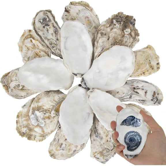 Sinkoo 20 Pcs Flat Oyster Shells for Crafts 3"-4" Medium Natural Oyster Shells Bulk, for Home Vase Filler, Xmas Ornaments, DIY Arts and Crafts Sea Shells