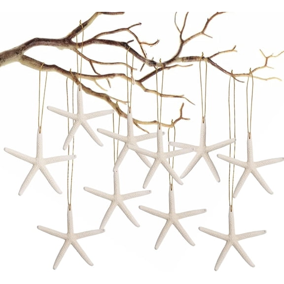 Sinkoo 20pcs Christmas Tree Ornaments, 3"-4" Seashell Starfish Christmas Ornaments for Crafts, Coastal Xmas Hanging Decor for Home Party Wedding