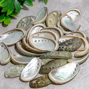 Sinkoo 30 Pcs 2"-2.4" Natural Green Donkey Ear Abalone Sea Shells, Polished Shell Curved Abalone Shell Slices, Furniture Decoration and Shell Art Crafts