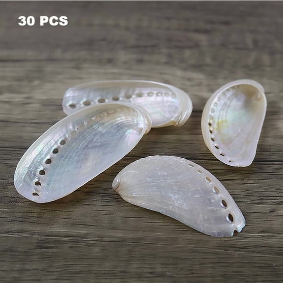 Sinkoo 30 Pcs Pearlized Abalone Seashell, 1.6"-2.5", White Pearl Donkey Ear Abalone Shells for DIY Crafts, Arts and Home Decor